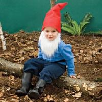 Costume gnome photo