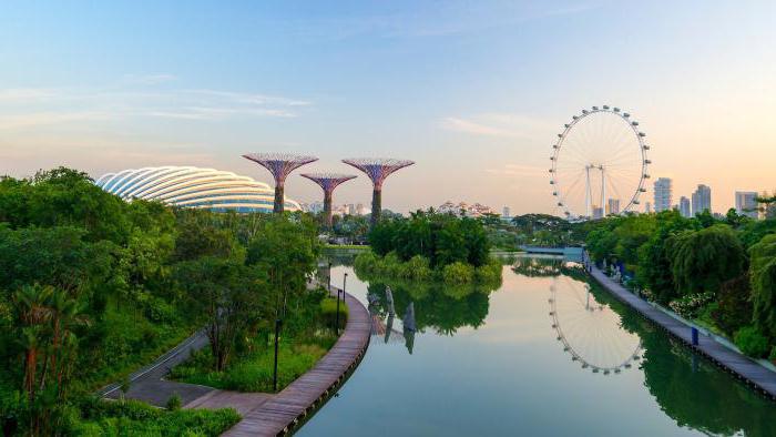 сингапур получение гражданства несовершеннолетних