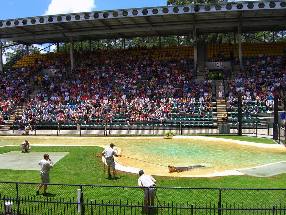 парк крокодилов