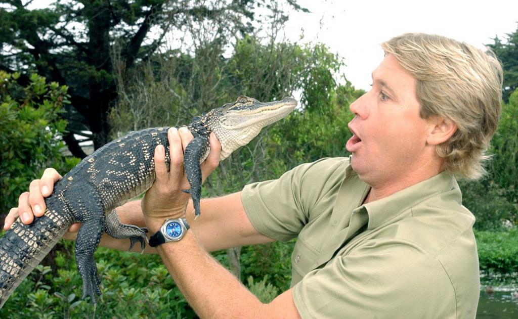 Охотник за крокодилами Стив Ирвин