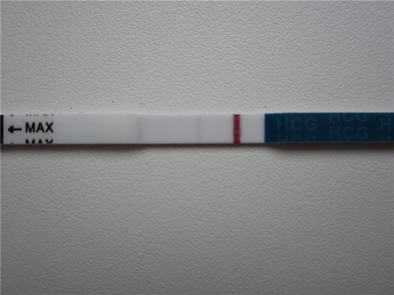 13 ДПО, тест отрицательный - есть ли надежда? Когда тест покажет беременность