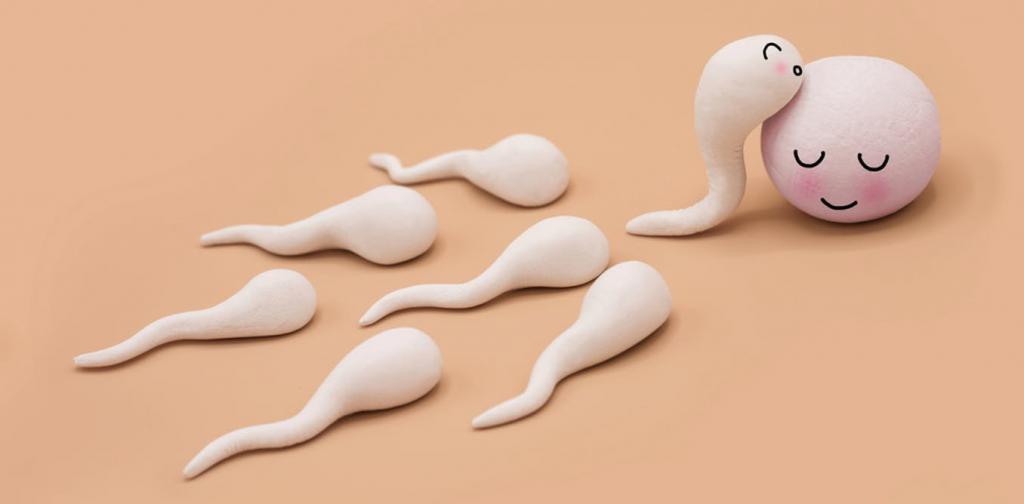 Может ли у мужчины закончиться сперма: мифы и факты