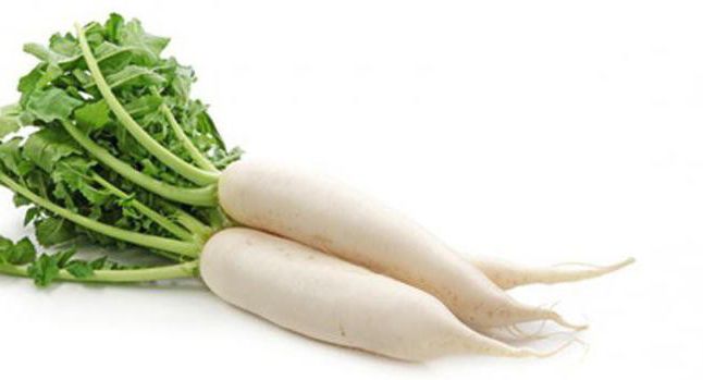 Chinese radish