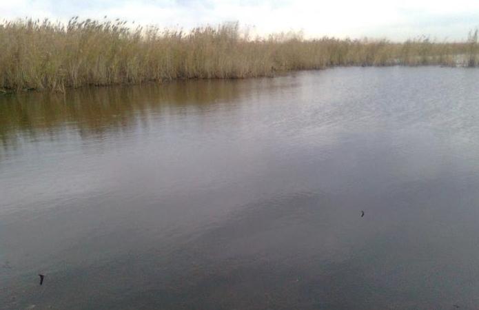 озеро тишки челябинская область отзывы