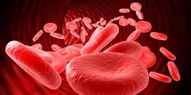 Если в анализе крови повышены лейкоциты и эритроциты в моче thumbnail