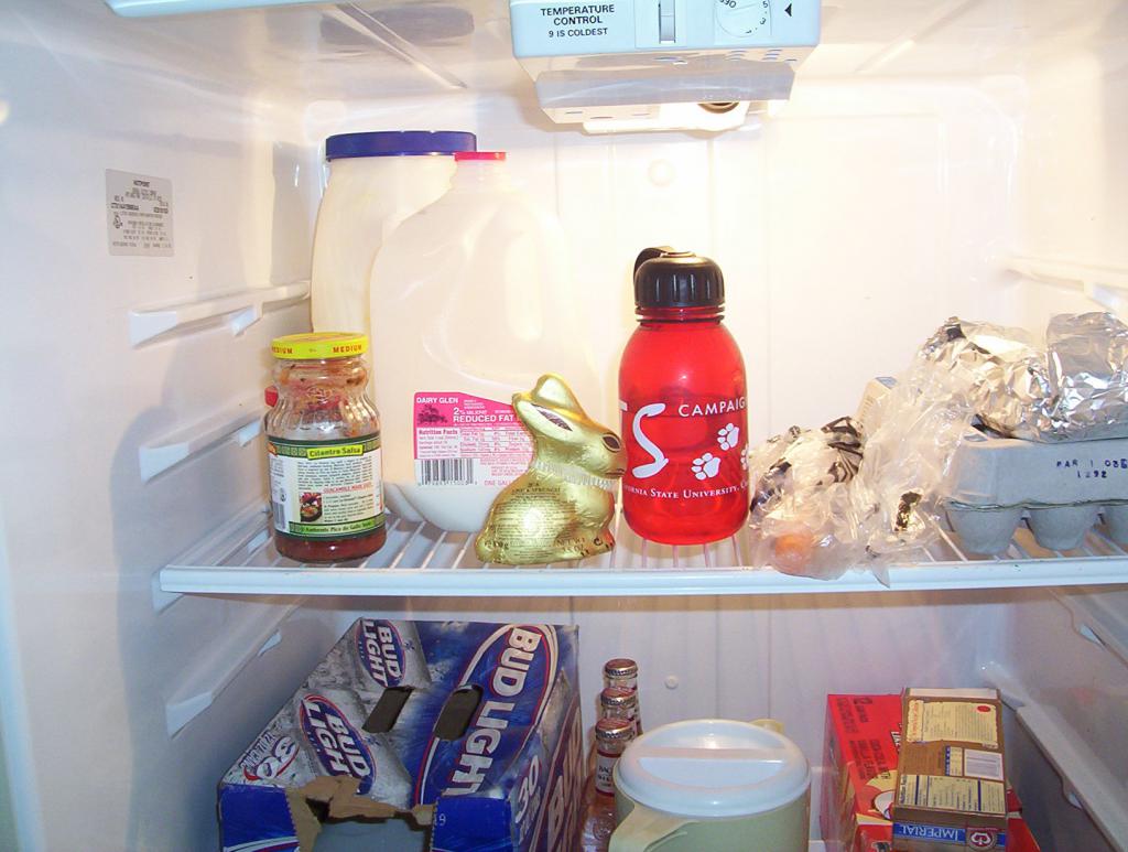 продукты на полках холодильника