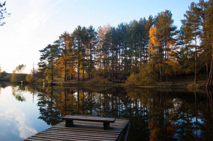 Калиновские разрезы екатеринбург фото