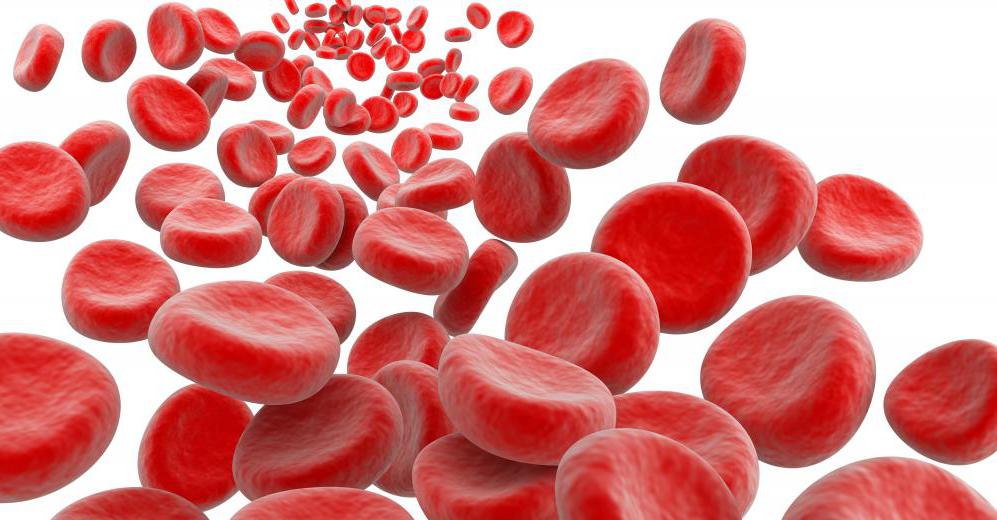 Hemoglobin in the human body