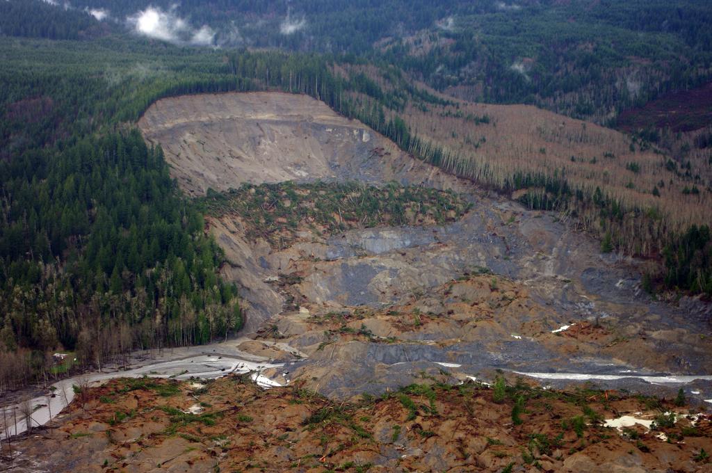 A collapse occurred in this place, as a result of which several dozen trees were damaged