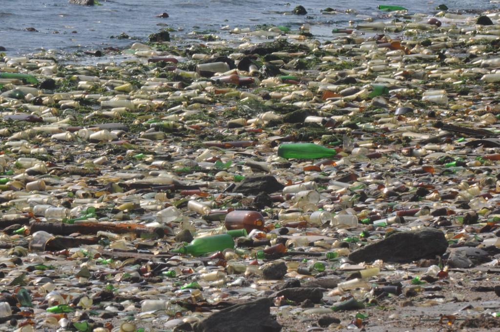 мусор выкидывают прямо в море