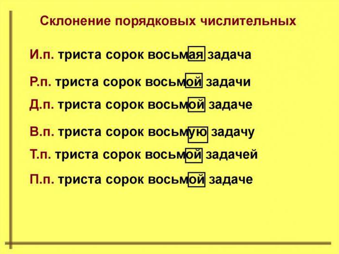 С какими словами употребляются собирательные числительные девушки собаки дом ученицы молоток