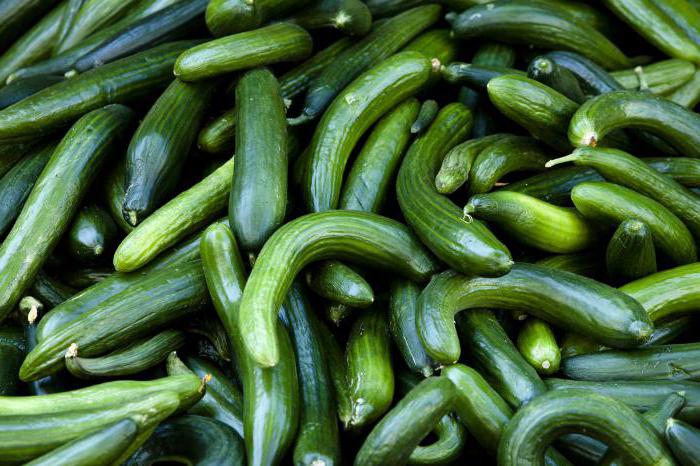 why do crooked cucumbers grow in a greenhouse