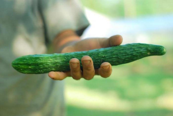 why grow crooked cucumbers than to feed