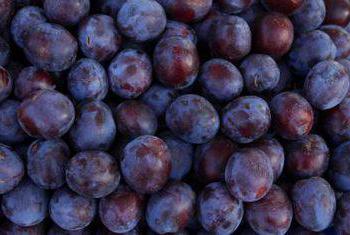 early plum variety reviews