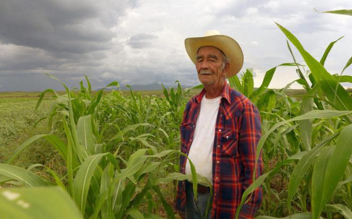 Специализация сельского хозяйства Мексики