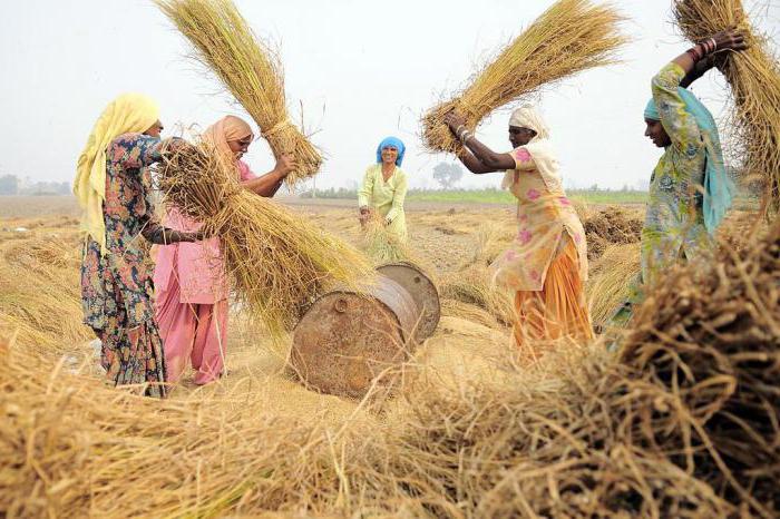 what is threshing