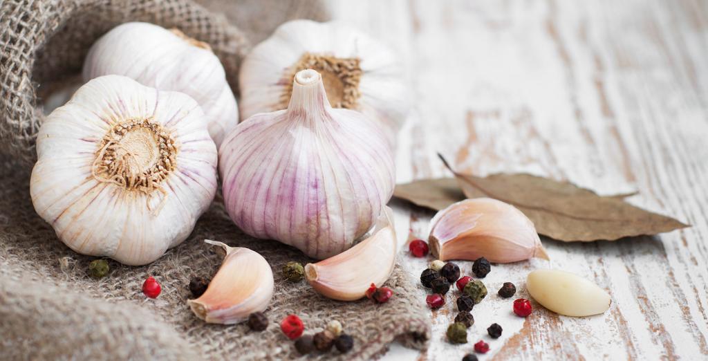 Garlic on the table