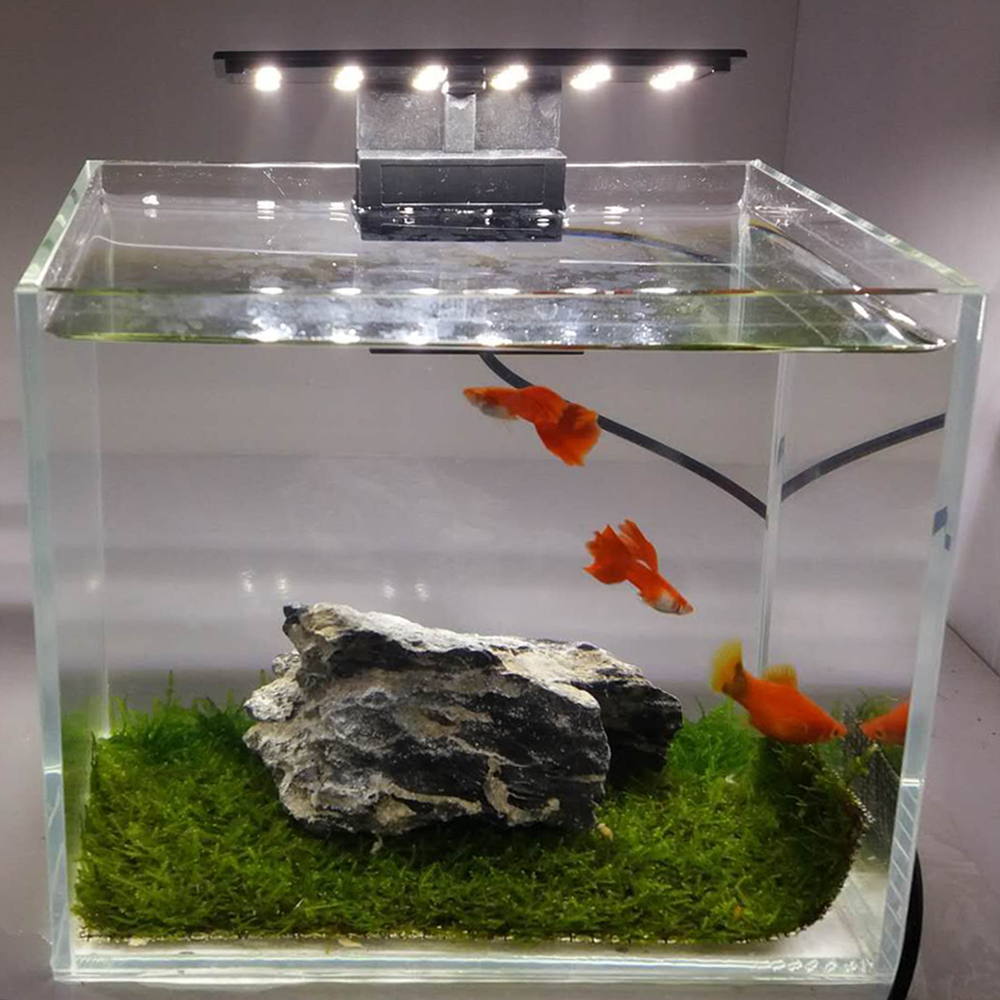 Отдельный аквариум