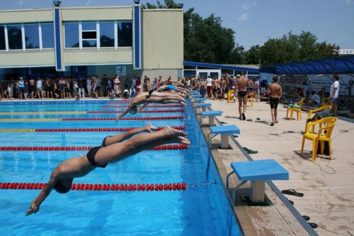 pool dolphin taganrog