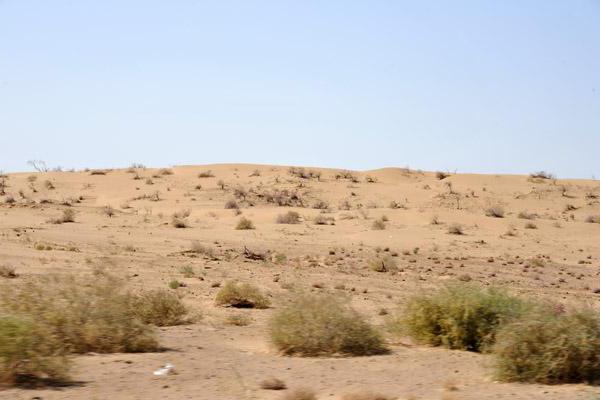 пустыня каракумы