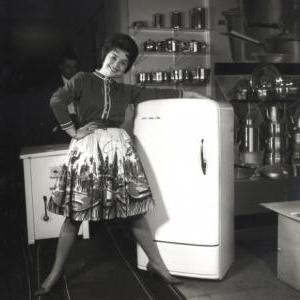 холодильники советского союза