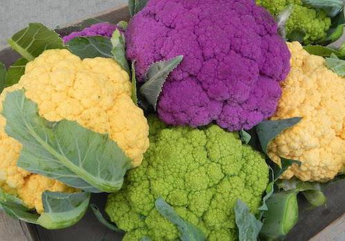 why cauliflower is good for women
