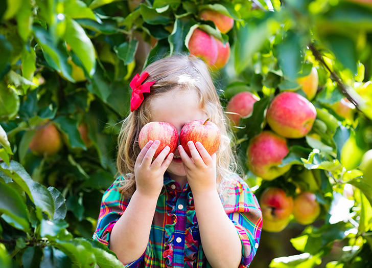 девочка с яблоками