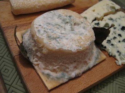 blue cheese benefits and harms