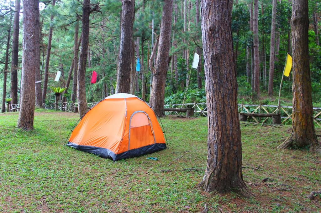 tent in the forest