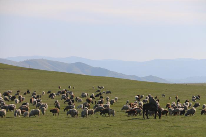 the most climate-friendly region of Altai