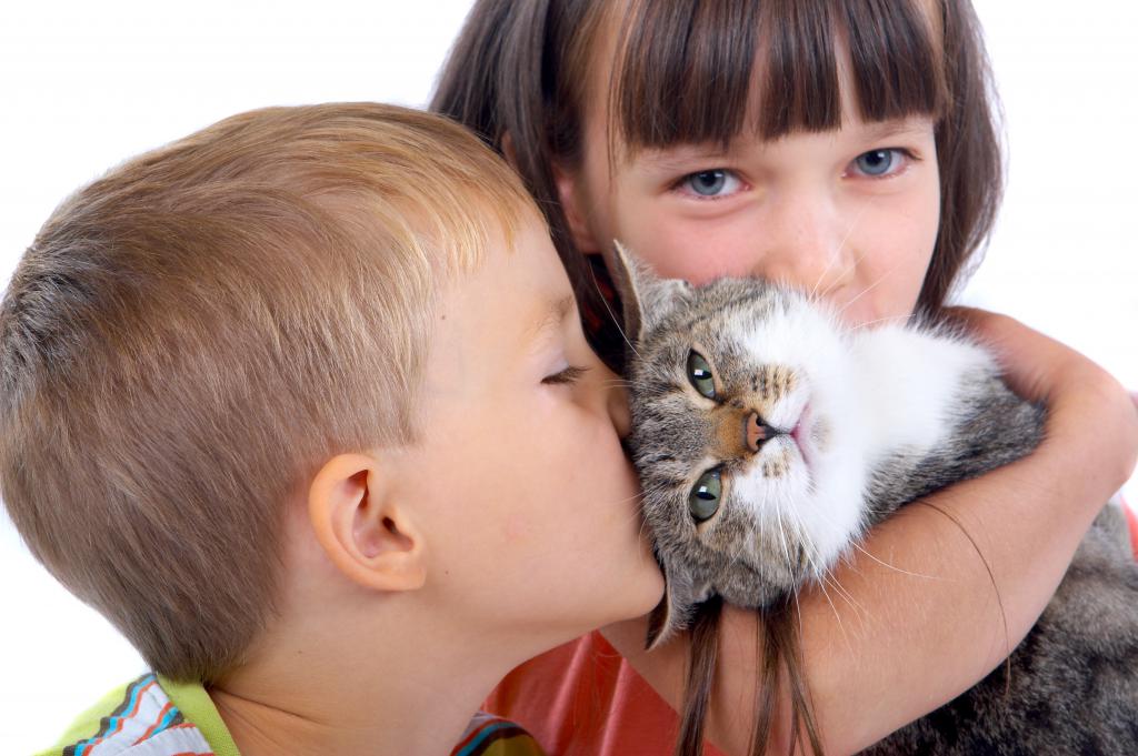 Инфицирование ребенка от кошки