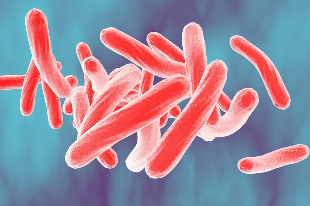 Микобактерии туберкулеза