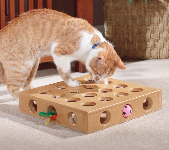 Игра-головоломка для кошки