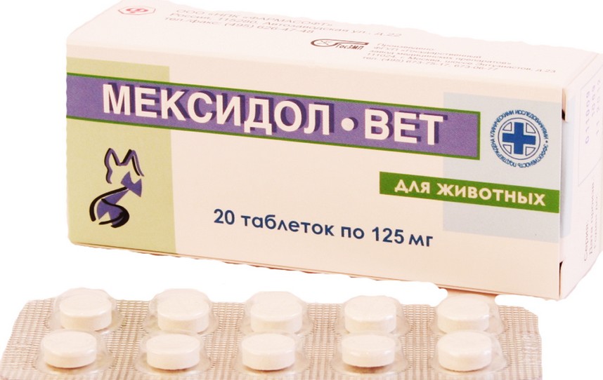 The drug "Mexidol" for dogs