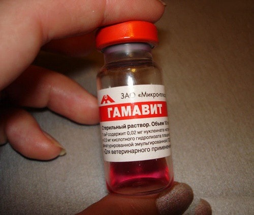 Vitamin preparation "Gamavit"