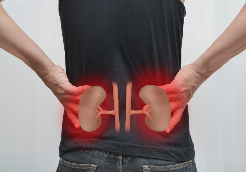 Bens Jones protein harms kidneys