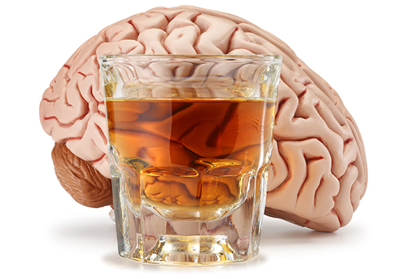 Алкоголь и головной мозг