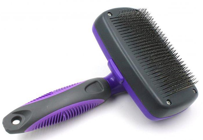 comb brush