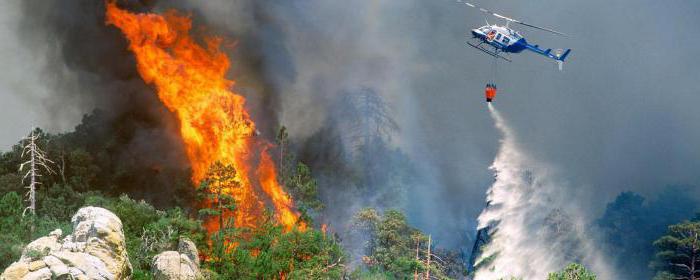 природная пожарная опасность лесов