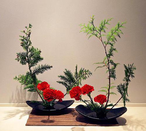 ikebana photo