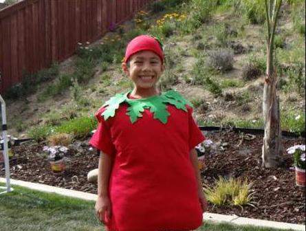 костюм помидора для мальчика своими руками
