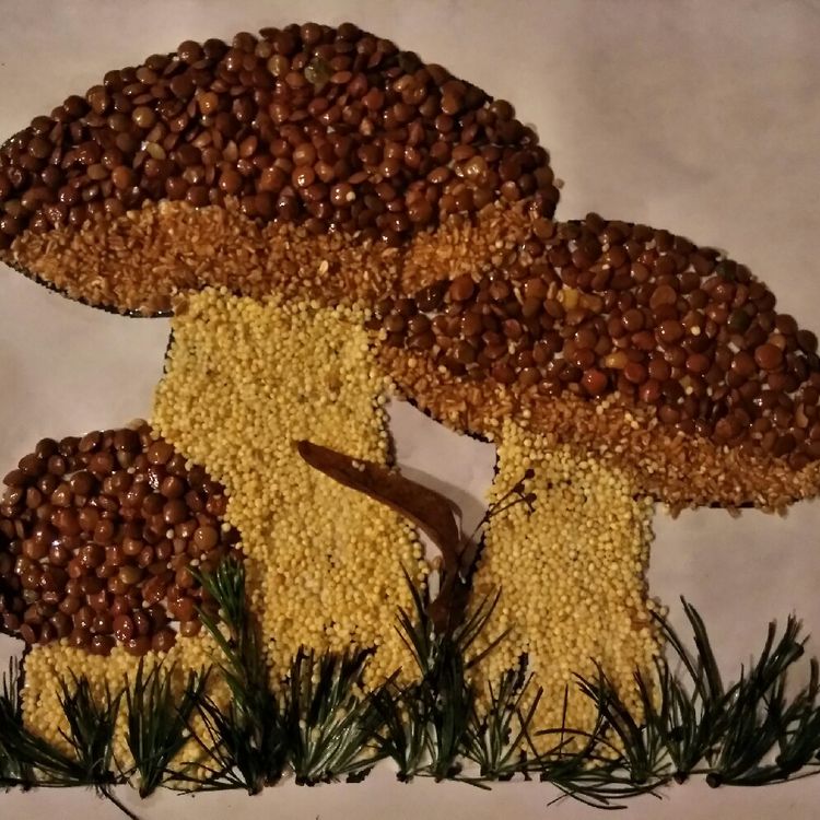 грибы боровики из крупы