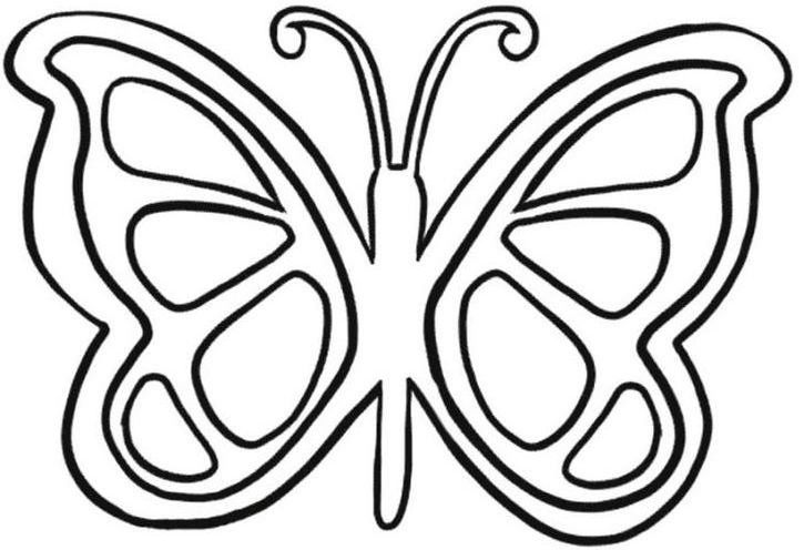 scheme for quilling butterflies