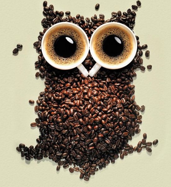 картинка сова из кофе