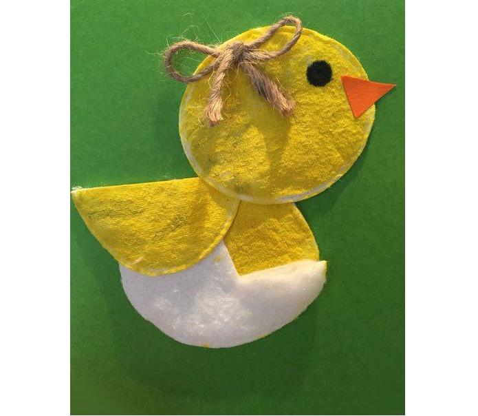 cotton poultry chick