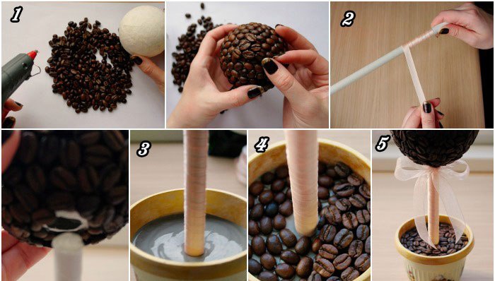 how to make a coffee tree