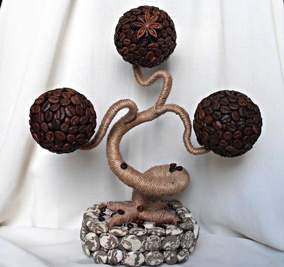 кофейное дерево типа бансай