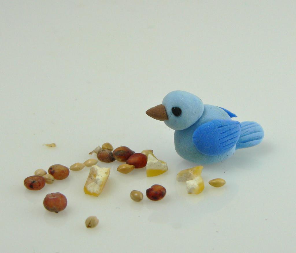 bird pecks grains