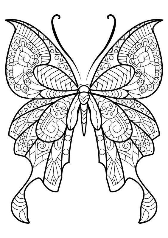 butterfly coloring