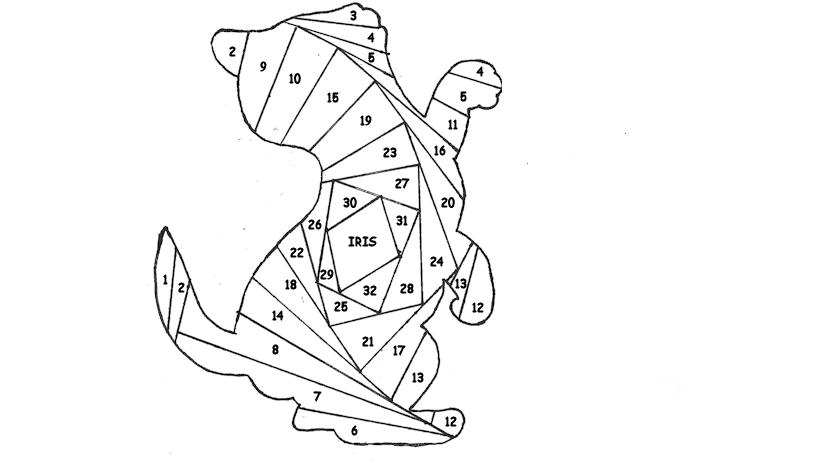 kitten assembly diagram